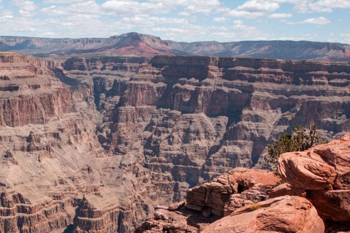 Foto: Estados Unidos, un sujeto trató saltar ilegalmente desde el borde del Gran Cañón/Cortesía