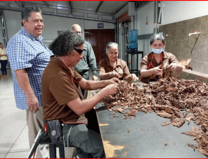 Foto: Fábrica de tabacos El Fumador S.A en Estelí