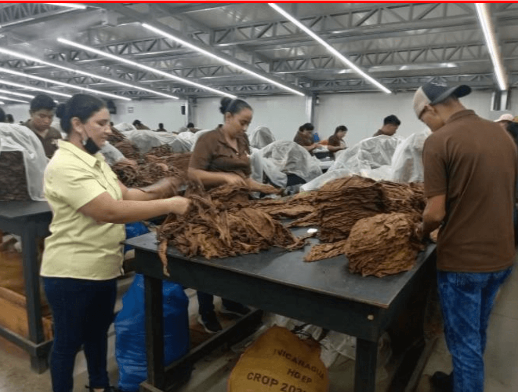 Foto: Fábrica de tabacos El Fumador S.A en Estelí