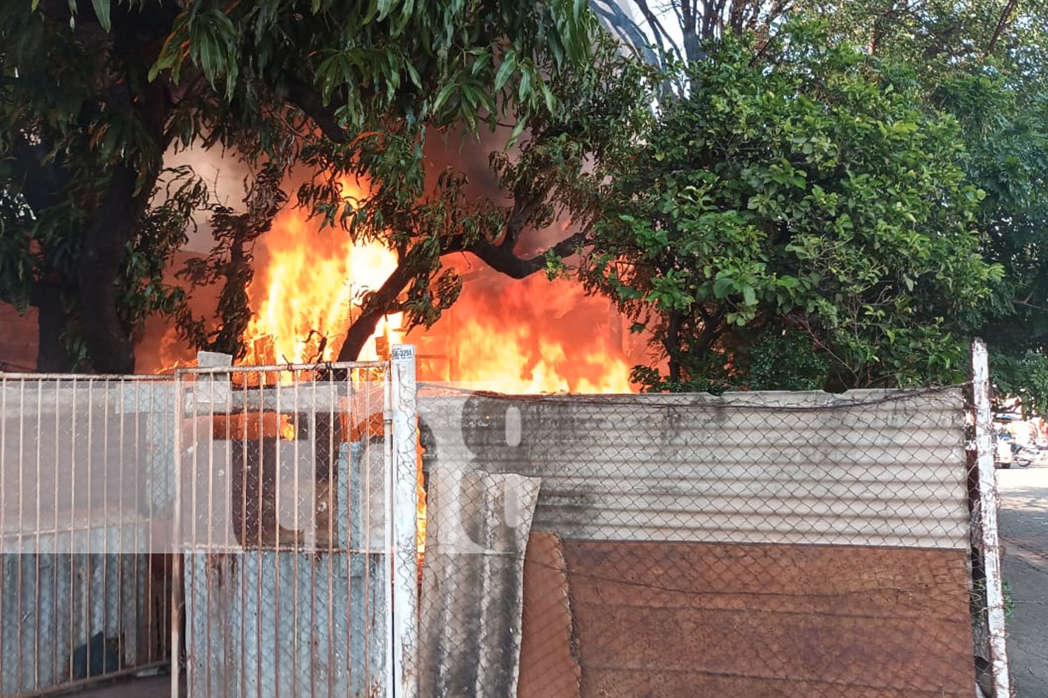 Foto: incendio consumiera su casa en el barrio Monseñor Lezcano, Managua/TN8