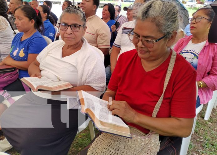 Foto: Diversas actividades en honor a la Biblia y su traducción al castellano / TN8