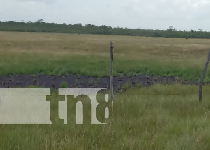 Foto: Encuentran cadáver en avanzado estado de descomposición en una finca de Bilwi, Puerto Cabezas / TN8