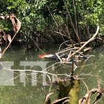 Foto: Encuentran cadáver en avanzado estado de descomposición en una finca de Bilwi, Puerto Cabezas / TN8