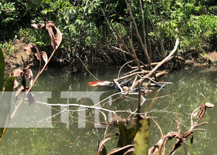 Foto: Encuentran cadáver en avanzado estado de descomposición en una finca de Bilwi, Puerto Cabezas / TN8