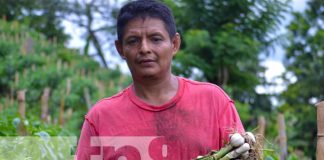 Foto: Diversidad de cultivos en La Concepción, Masaya / TN8