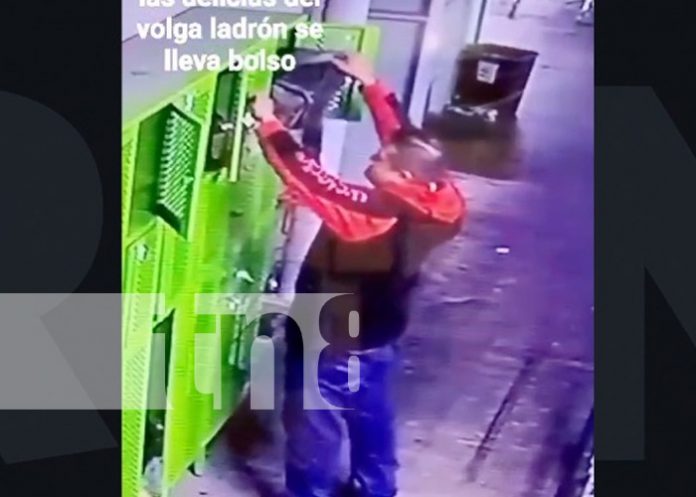 Foto: Ladrón comete robo en un supermercado de Managua / TN8