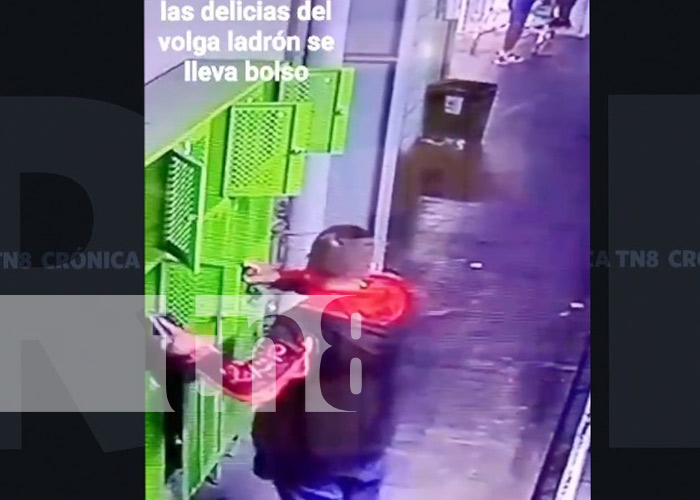 Foto: Ladrón comete robo en un supermercado de Managua / TN8