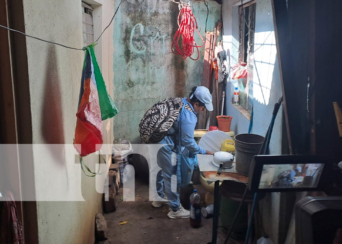 Foto: Brigadistas del MINSA en Managua / TN8