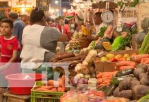 Foto: Sondeo de precios de la canasta básica en Nicaragua / TN8