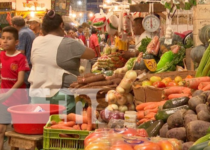 Foto: Sondeo de precios de la canasta básica en Nicaragua / TN8