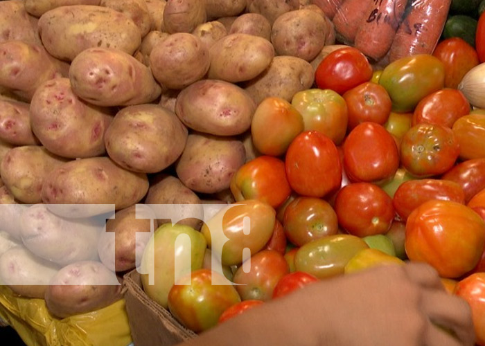 Foto: Sondeo de precios de la canasta básica en Nicaragua / TN8