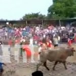 Foto: Lesionados por barrera de toros en Granada / TN8