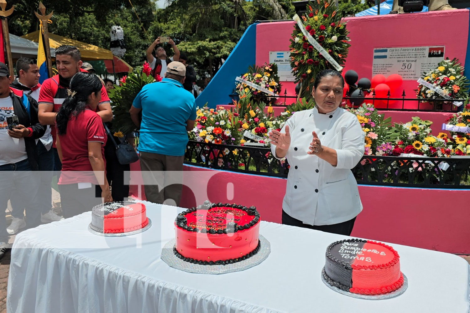 Foto: Departamentos de Nicaragua conmemoran a Tomás Borge y Fidel Castro/TN8