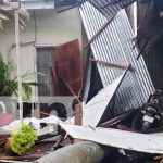 Foto: Un hombre muere al caerle un árbol de palmera en Chichigalpa / TN8