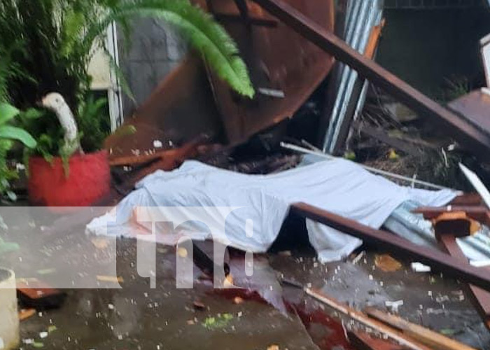 Foto: Un hombre muere al caerle un árbol de palmera en Chichigalpa / TN8