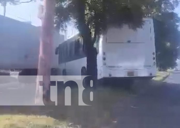 Foto: Conductor de bus comete tremenda irresponsabilidad en la Cuesta El Plomo / TN8