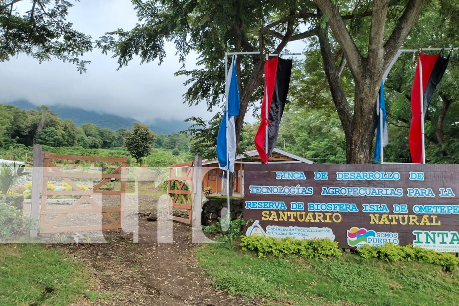 Foto: El volcán Maderas posee una laguna en su cráter ¡Un tesoro turístico de Ometepe!/TN8