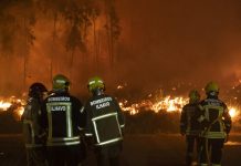 Foto: Portugal lucha contra más de 40 incendios forestales incontrolables