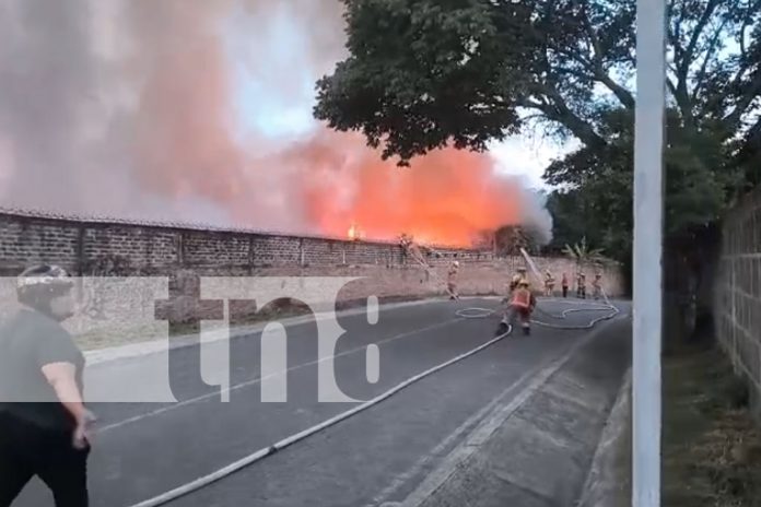 Infernal incendio reduce a cenizas una fábrica procesadora de tabaco en Estelí