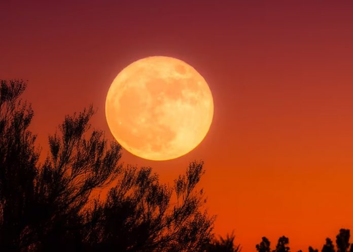 Foto: Superluna de la Cosecha /cortesía