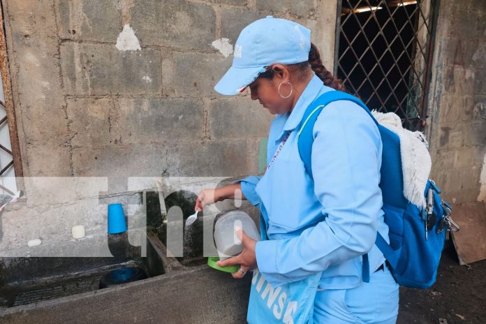 MINSA realiza jornada de abatización en el Distrito 2 de Managua/TN8