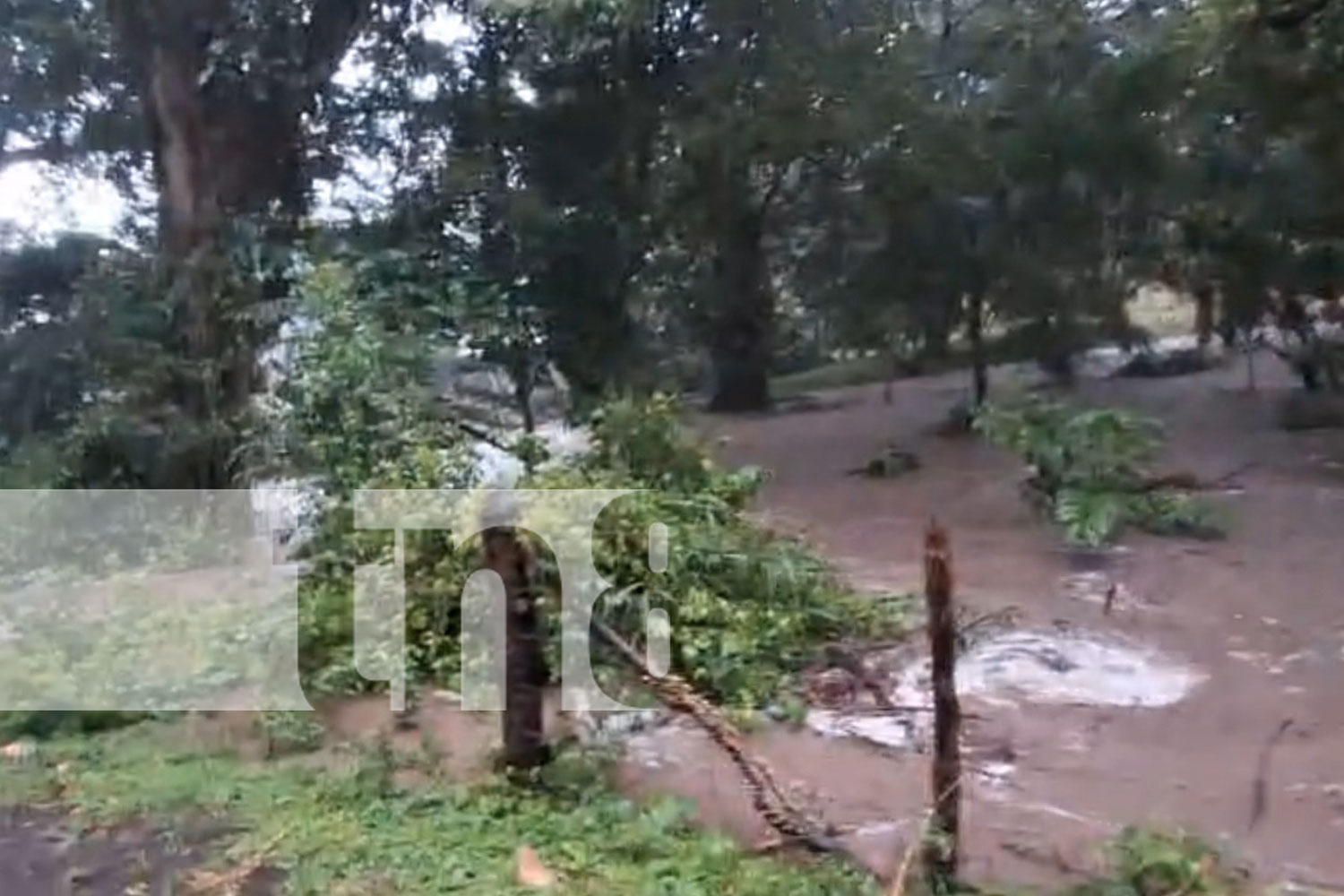 Foto: Emergencia en La Dalia: Desbordamiento del río Carateras afecta más de diez viviendas/TN8