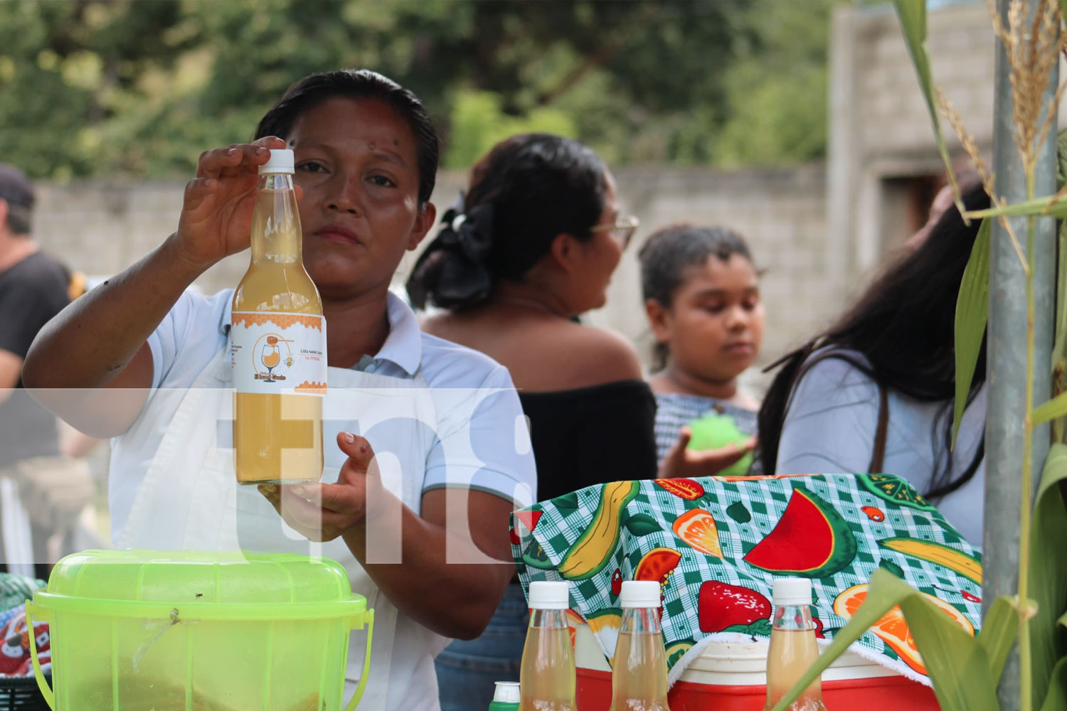 Foto: Orgullo, tradición y cultura” 35 años de la feria del maíz en Totoglapa departamento de Madriz/ TN8