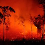 Foto: Incendios en Brasil  /cortesía