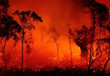 Foto: Incendios en Brasil  /cortesía