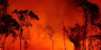 Foto: Incendios en Brasil  /cortesía