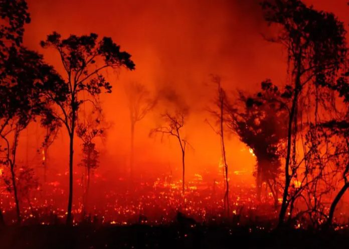 Foto: Incendios en Brasil  /cortesía