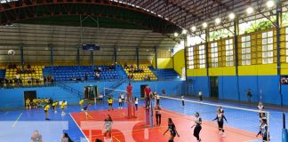 Foto: Aperturaron los juegos de volleyball femenino/TN8