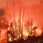 Foto: Incendios forestales avanzan en el oeste de EEUU y cubre Los Ángeles de humo/TN8