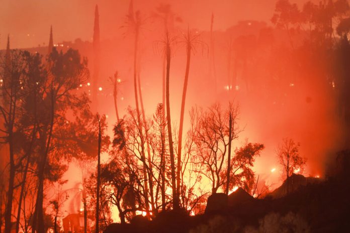 Foto: Incendios forestales avanzan en el oeste de EEUU y cubre Los Ángeles de humo/TN8