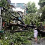 Foto: Venezuela se solidariza /cortesía