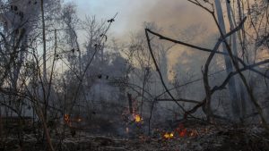 Foto: Brasil enfrenta miles de incendios en medio de la peor sequía histórica