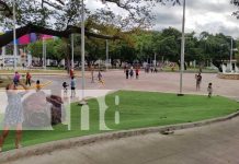 Foto: En Managua hay más de 200 parques, lugares que se han convertido en espacios seguros/TN8