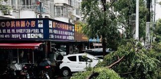 El tifón más fuerte que ha golpeado Shanghái en los últimos 75 años tocó tierra en la madrugada del lunes, trayendo lluvias torrenciales