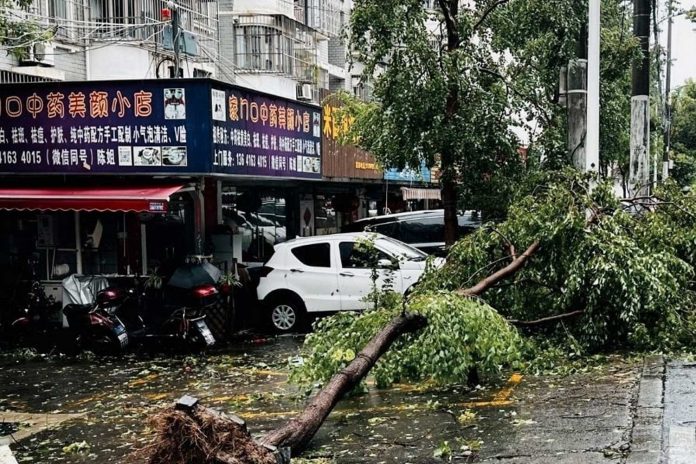 El tifón más fuerte que ha golpeado Shanghái en los últimos 75 años tocó tierra en la madrugada del lunes, trayendo lluvias torrenciales