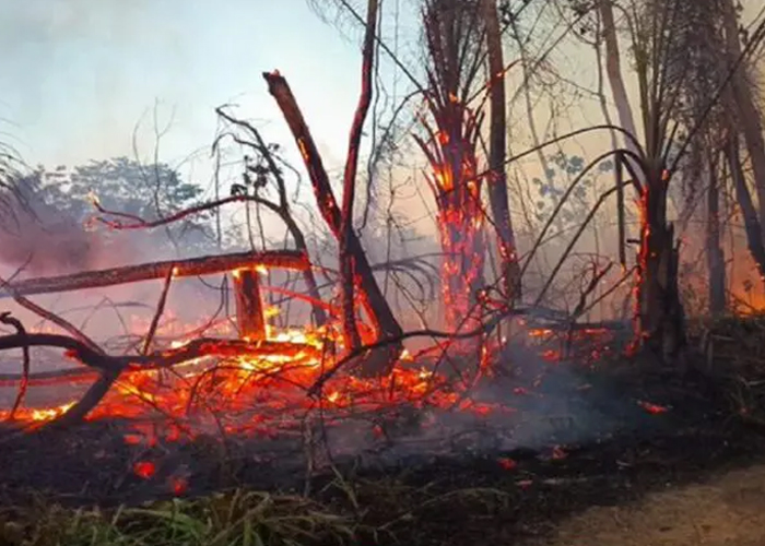 Foto: Emergencia en Bolivia /cortesía 