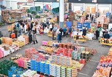 Foto: Nicaragua y América Latina presentan sus productos agroindustriales en Bruselas/ TN8