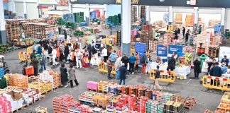 Foto: Nicaragua y América Latina presentan sus productos agroindustriales en Bruselas/ TN8