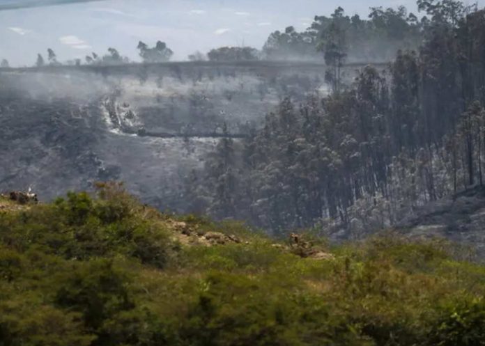 Foto: Ecuador en alerta roja /cortesía