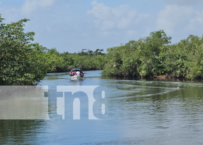 Foto: Tragedia en el Caribe Norte /TN8