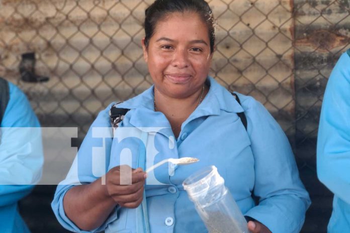 Foto: Barrio El Recreo es abatizado para evitar el vector del dengue / TN8