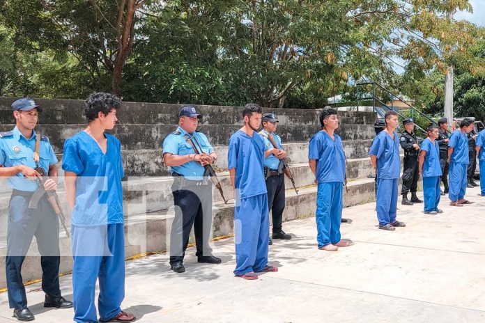 Foto: La Policía Nacional capturó a 14 individuos implicados en diversos delitos/TN8