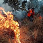 Foto: Perú sufre 18 pérdidas humanas tras incendios forestales / Cortesía