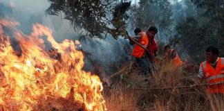 Foto: Perú sufre 18 pérdidas humanas tras incendios forestales / Cortesía