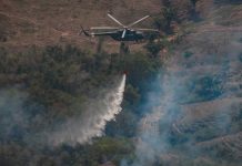 Foto: incendios forestales en Perú han provocado varios fallecidos/Cortesía