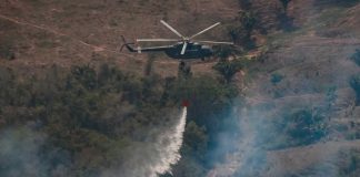 Foto: incendios forestales en Perú han provocado varios fallecidos/Cortesía